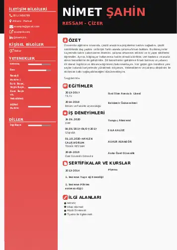 Ressam Cv Örnekleri cv indir